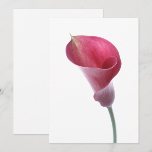 Lila Einladung der Calla Lily (Vorne/Hinten)