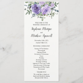 Lila Eukalyptus botanischer Dusty Programm