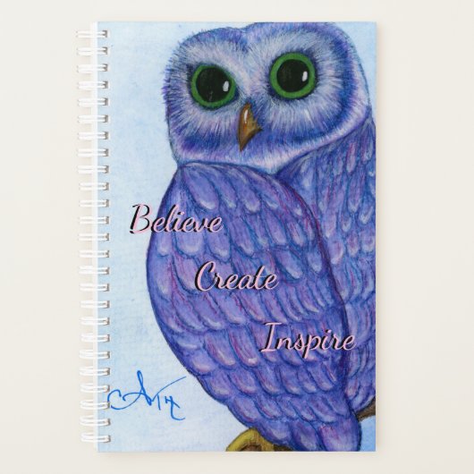 Lila Eule-Plane Planer (Vorderseite)