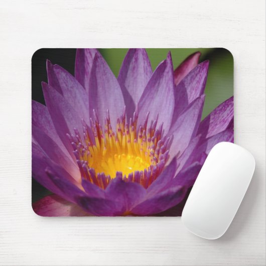 Lila Explosion Mousepad (Mit Mouse)