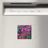 Lila Fahne, Oregon Magnet (In Situ (Geschirrspüler))