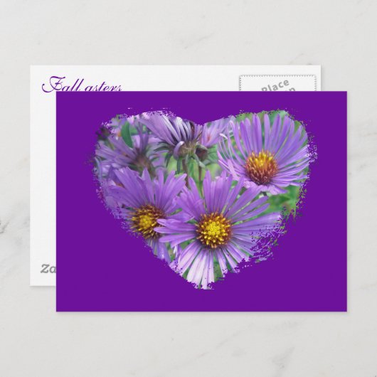 Lila Fall Asters-Wildblume-Matching-Elemente Postkarte (Vorne/Hinten)