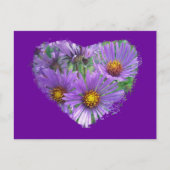 Lila Fall Asters-Wildblume-Matching-Elemente Postkarte (Vorderseite)