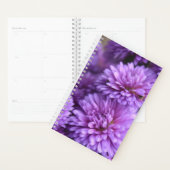 Lila Fall Mum Petal Foto Planer (Anzeige)