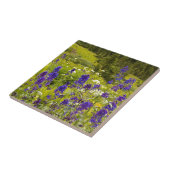 Lila Feld Fliese (Seite)