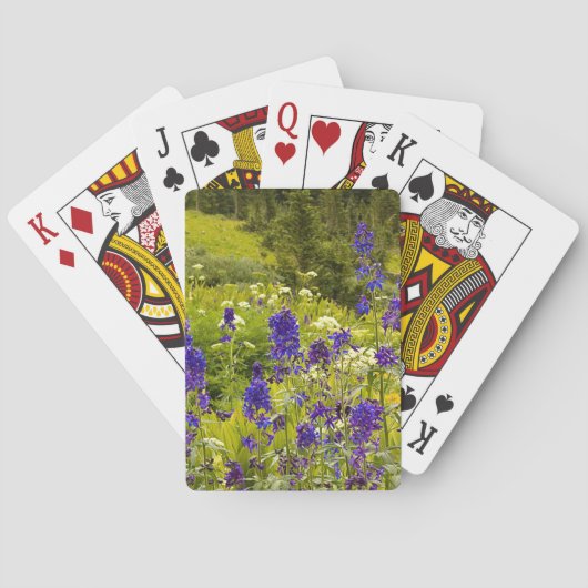 Lila Feld Spielkarten (Rückseite)