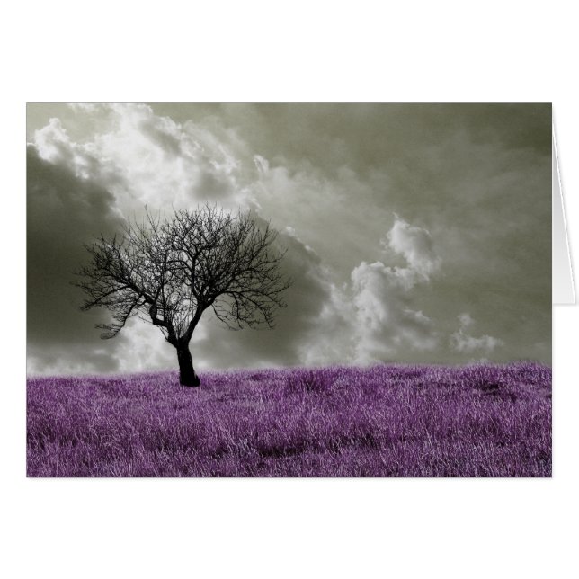 Lila Felder (Vorderseite (Horizontal))