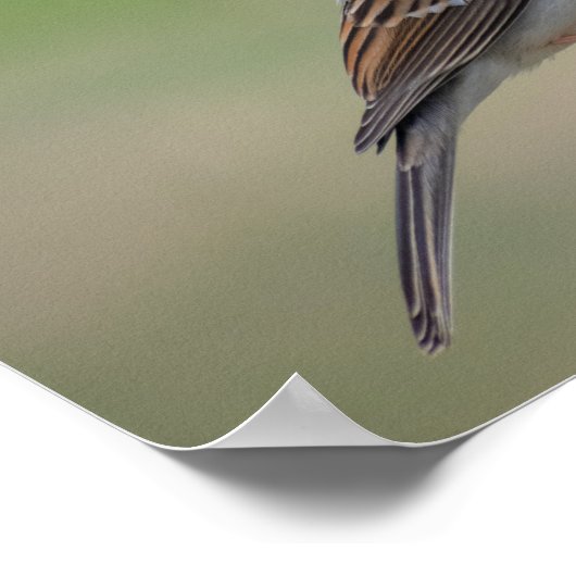 Lila Finale Poster (Ecke)