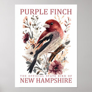 Lila Finch Bird of New Hampshire USA Travel Poster