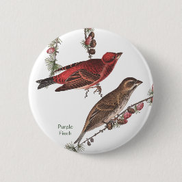 Lila Finch, John James Audubon, Birdwatcher Bird Button