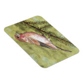 Lila Finch Magnet (Rechte Seite)