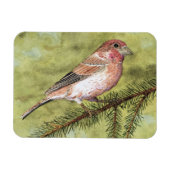 Lila Finch Magnet (Horizontal)