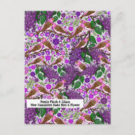 Lila Finches, Lilacs - NH Staat Bird und Blume Postkarte