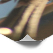 Lila Finish Bird Foto Print Poster (Ecke)