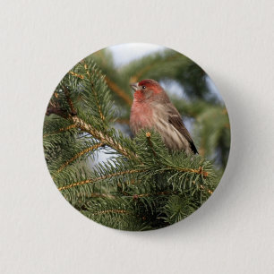 Lila Fink Button