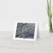 Lila Fink, hell und heiter Karte (Rückseite)