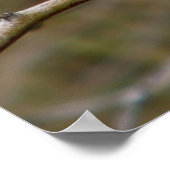 Lila Finkendruck Poster (Ecke)