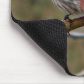 Lila Finkenmagnet Mousepad (Ecke)