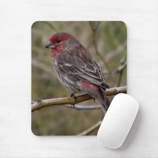 Lila Finkenmagnet Mousepad (Mit Mouse)