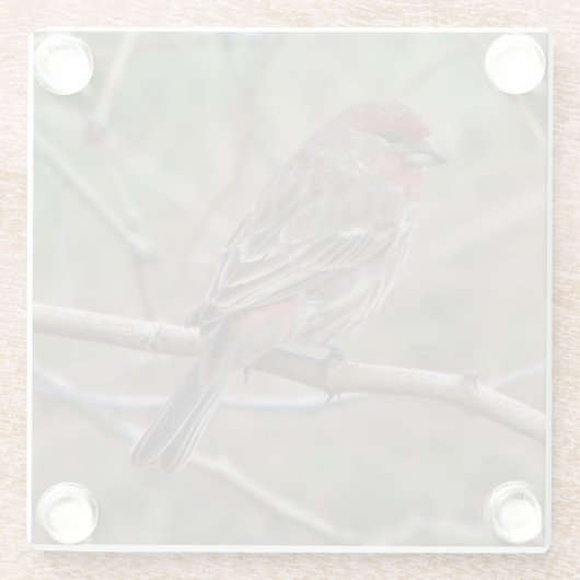 Lila Finte Glasuntersetzer (Rückseite)