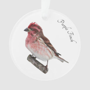 Lila Finte Ornament
