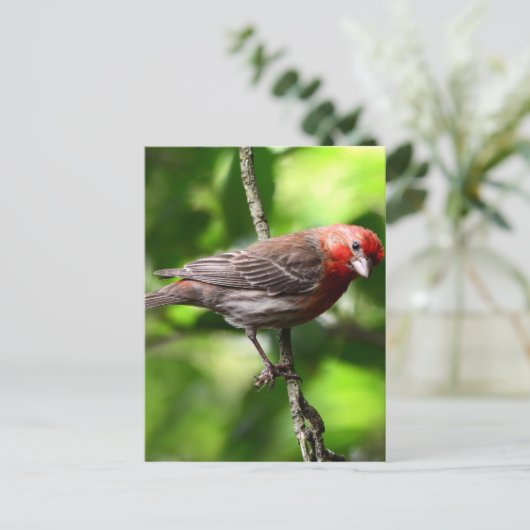 Lila Finte Postkarte (Stehend Vorderseite)