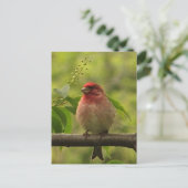 Lila Finte Postkarte (Stehend Vorderseite)