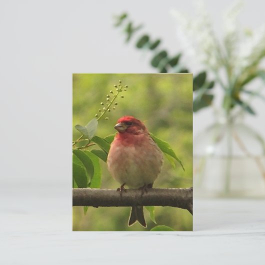 Lila Finte Postkarte (Stehend Vorderseite)