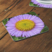 Lila Fleabane Daisy Floral Getränkeuntersetzer