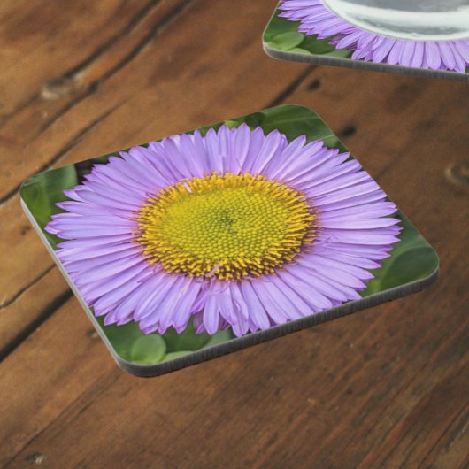 Lila Fleabane Daisy Floral Getränkeuntersetzer