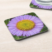 Lila Fleabane Daisy Floral Getränkeuntersetzer (Linke Seite)