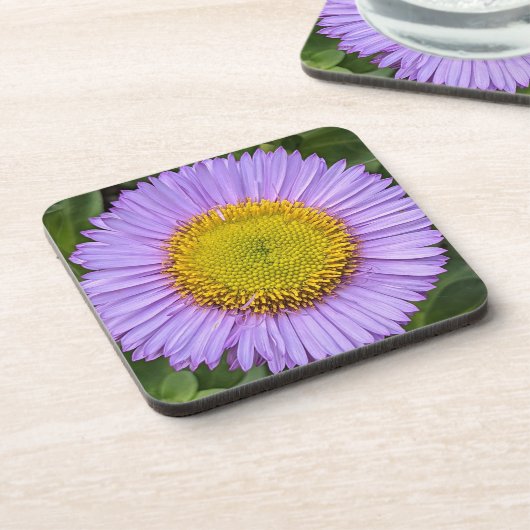 Lila Fleabane Daisy Floral Getränkeuntersetzer (Linke Seite)