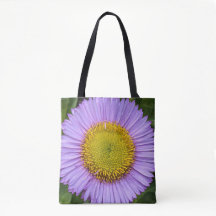 Lila Fleabane Daisy Floral