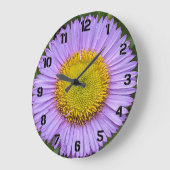 Lila Fleabane Daisy mit schwarzen Zahlen, floral Große Wanduhr (Winkel)