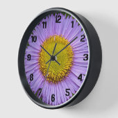 Lila Fleabane Daisy mit schwarzen Zahlen, floral Uhr (Winkel)