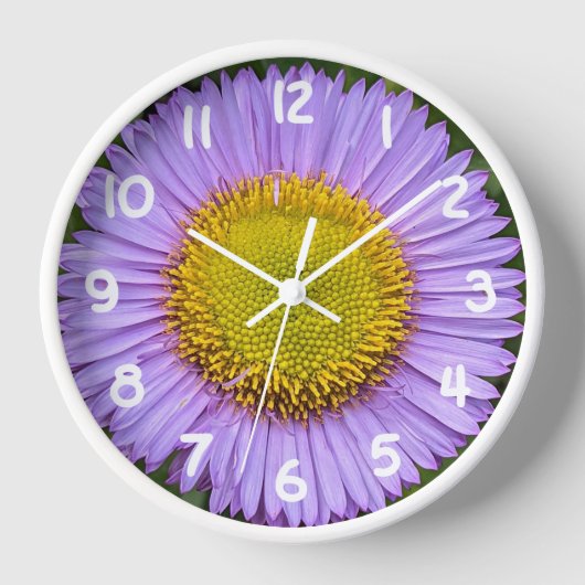 Lila Fleabane Daisy mit weißen Zahlen, floral Uhr (Vorderseite)