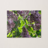 Lila Flieder Puzzle (Horizontal)