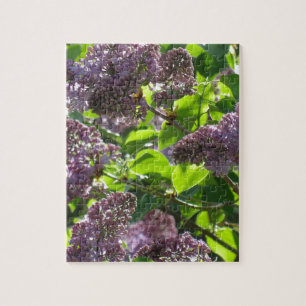 Lila Flieder Puzzle