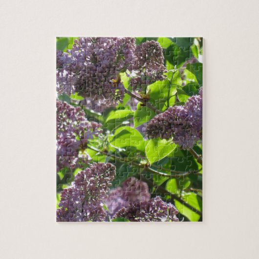 Lila Flieder Puzzle (Vertikal)