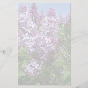 Lila Fliedern Fade25 Briefpapier