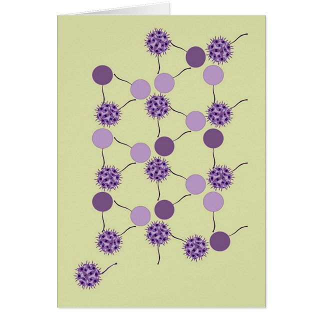 Lila Flitter (Vorne)