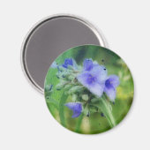 Lila Floral TTV Magnet (Vorderseite/Rückseite)