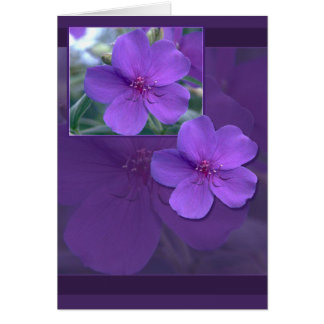 Lila florale Elegance