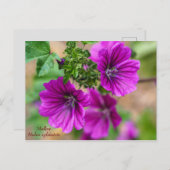 Lila florale Postkarte (Vorne/Hinten)