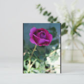 Lila Florale Rose Postkarte (Stehend Vorderseite)