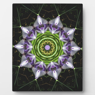 Lila florales Mandala-Kaleidoskop-Kunst Fotoplatte