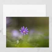 Lila Fotokarte für Windblumen (Vorne/Hinten)