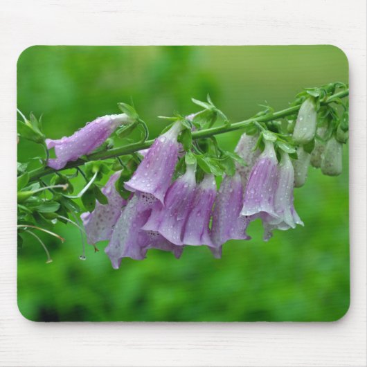 Lila Foxglove Blume Mousepad (Vorne)