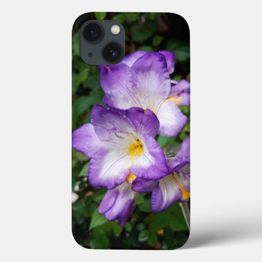 Lila Freesia Blume Case-Mate iPhone Hülle (Rückseite)