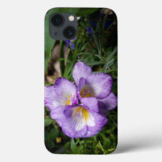 Lila Freesia Blume Case-Mate iPhone Hülle (Rückseite)